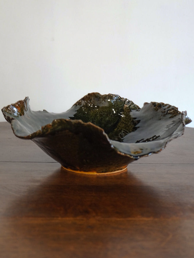 LOTUS-KELP 1